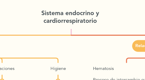 Mind Map: Sistema endocrino y cardiorrespiratorio