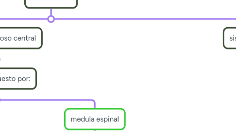 Mind Map: sistema nervioso