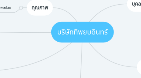 Mind Map: บริษัททิพยบดินทร์