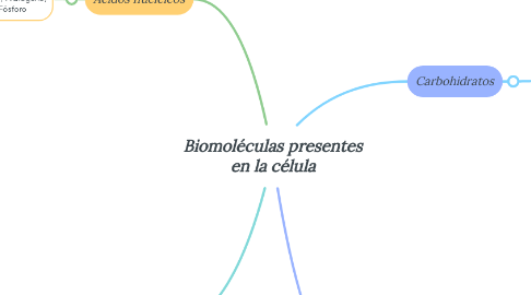 Mind Map: Biomoléculas presentes en la célula