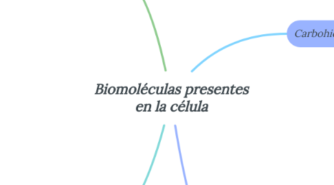 Mind Map: Biomoléculas presentes en la célula