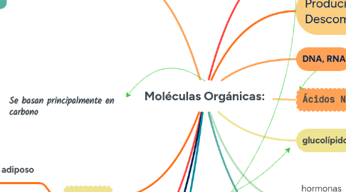 Mind Map: Moléculas Orgánicas: