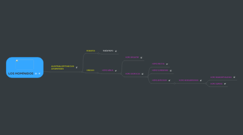 Mind Map: LOS HOMÍNIDOS