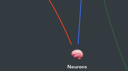 Mind Map: Neurons
