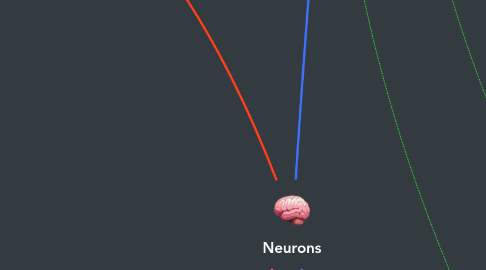 Mind Map: Neurons