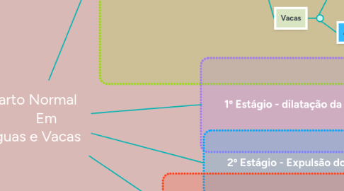 Mind Map: Parto Normal Em Éguas e Vacas