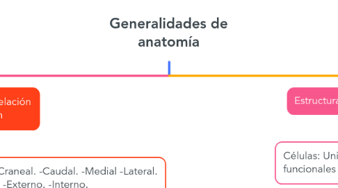 Mind Map: Generalidades de anatomía