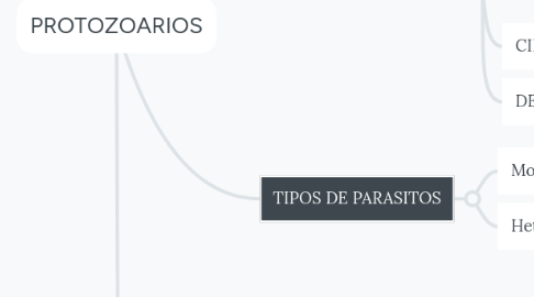 Mind Map: PROTOZOARIOS