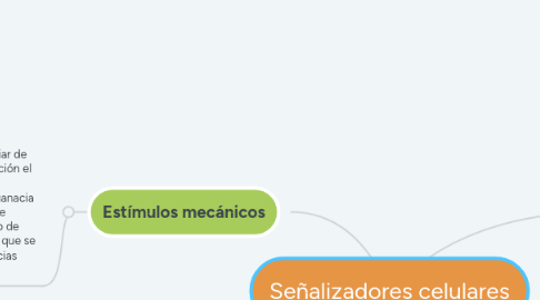 Mind Map: Señalizadores celulares