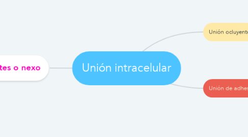 Mind Map: Unión intracelular