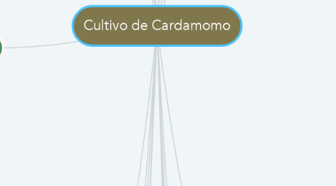 Mind Map: Cultivo de Cardamomo
