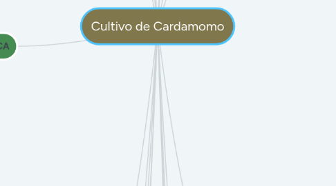 Mind Map: Cultivo de Cardamomo