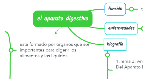 Mind Map: el aparato digestivo