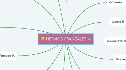 Mind Map: NERVIOS CRANÉALES