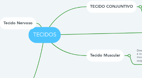 Mind Map: TECIDOS