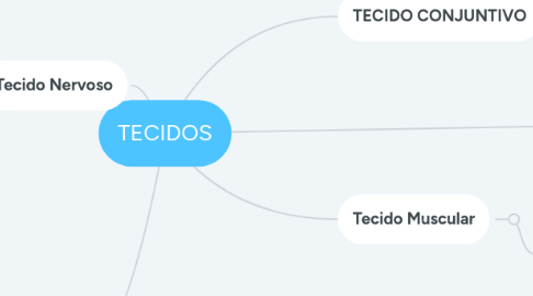 Mind Map: TECIDOS