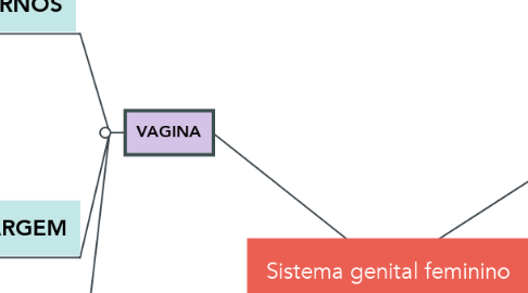 Mind Map: Sistema genital feminino