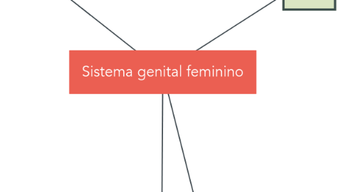 Mind Map: Sistema genital feminino