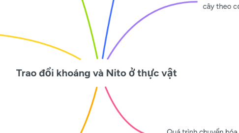 Mind Map: Trao đổi khoáng và Nito ở thực vật