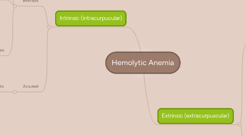 Mind Map: Hemolytic Anemia