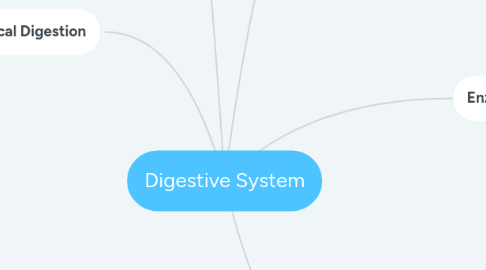 Mind Map: Digestive System