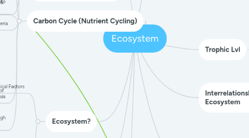 Mind Map: Ecosystem