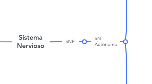 Mind Map: Sistema Nervioso