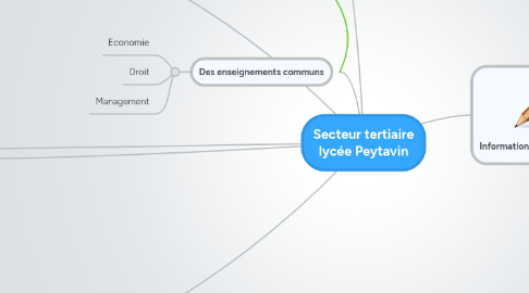 Mind Map: Secteur tertiaire lycée Peytavin