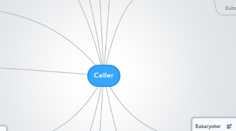 Mind Map: Celler