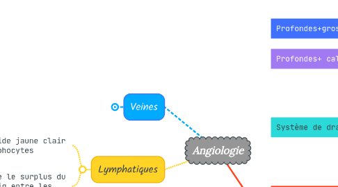 Mind Map: Angiologie