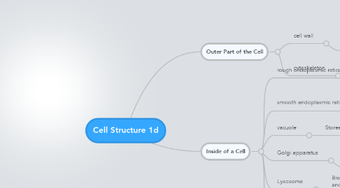 Mind Map: Cell Structure 1d