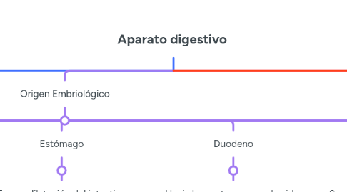 Mind Map: Aparato digestivo