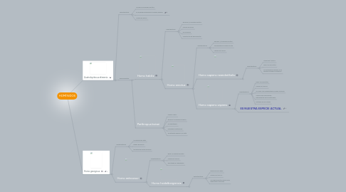 Mind Map: HOMÍNIDOS