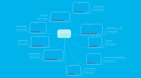 Mind Map: La evolucion de los Hominidos