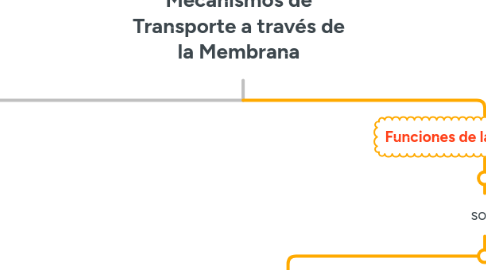 Mind Map: Mecanismos de Transporte a través de la Membrana
