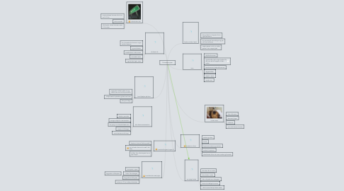 Mind Map: Puberteten piger