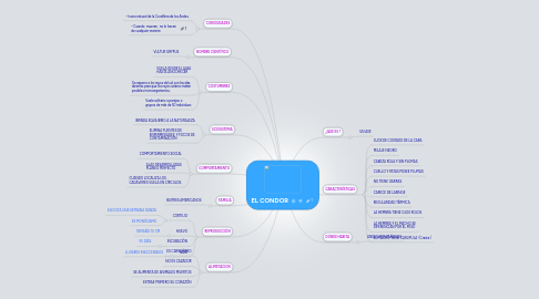 Mind Map: EL CONDOR