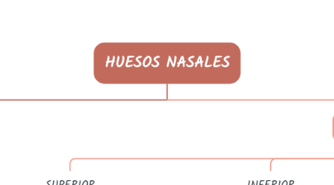 Mind Map: HUESOS NASALES