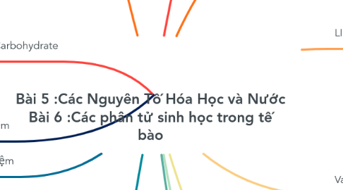 Mind Map: Bài 5 :Các Nguyên Tố Hóa Học và Nước Bài 6 :Các phân tử sinh học trong tế bào