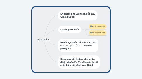 Mind Map: XẠ KHUẨN