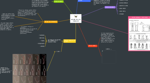 Mind Map: APLOMO EN LOS CABALLOS