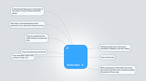 Mind Map: Brown Bear