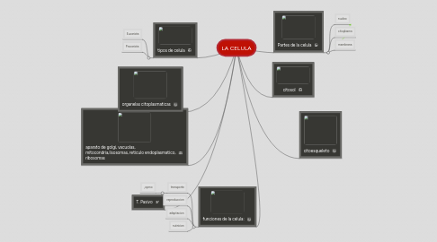 Mind Map: LA CELULA