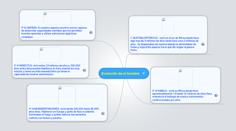 Mind Map: Evolución de el hombre