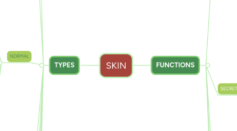 Mind Map: SKIN