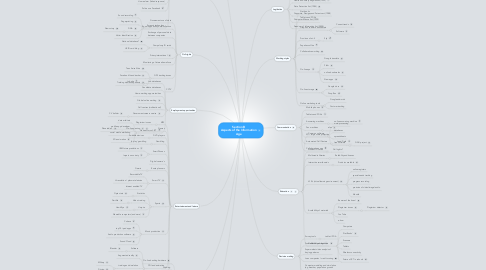 Mind Map: Section B Aspects of the Information Age