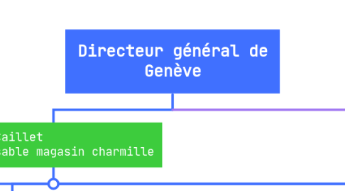 Mind Map: Directeur général de Genève