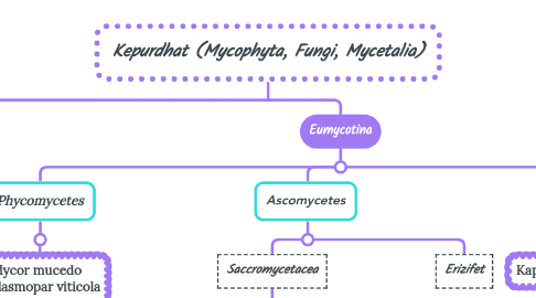 Mind Map: Kepurdhat (Mycophyta, Fungi, Mycetalia)