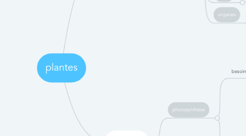 Mind Map: plantes