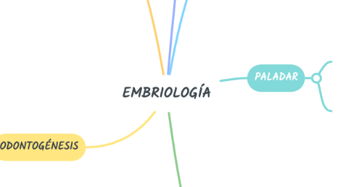 Mind Map: EMBRIOLOGÍA